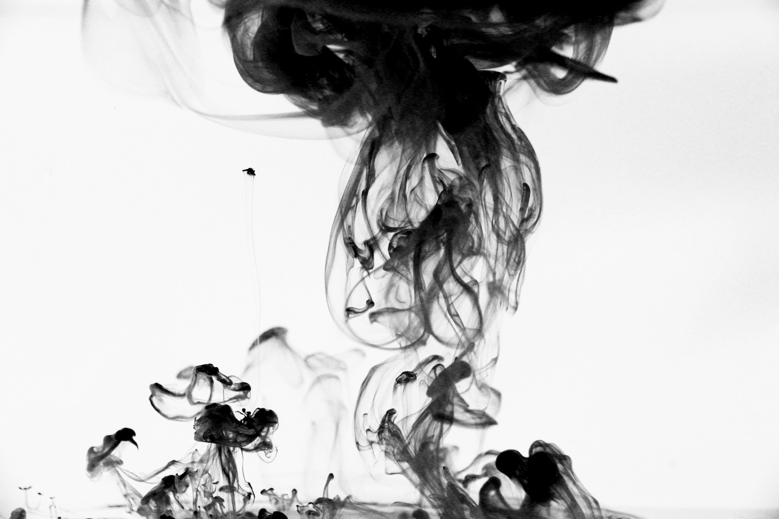 Humo etéreo — el color que acompaña al cuerpo